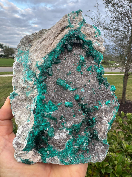 Large Green Dioptase with Calcite Specimen – Congo Collector Display Crystal