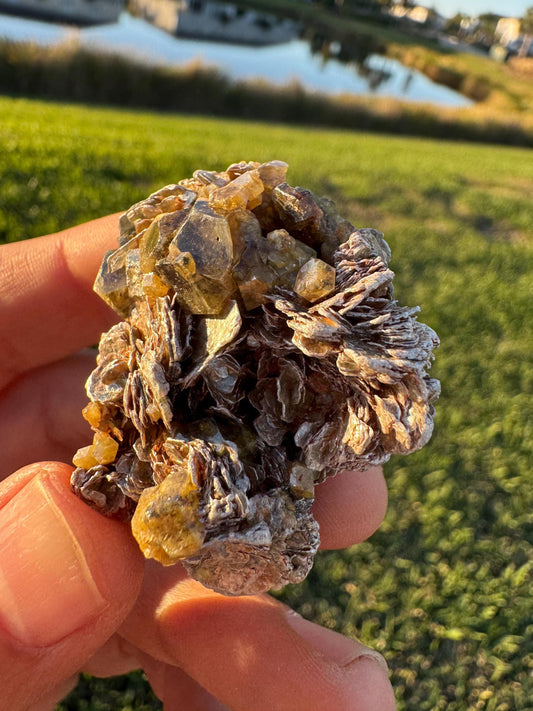 Mali Garnet with Silver Mica | Rare Garnet Crystals | Natural Mineral Specimen