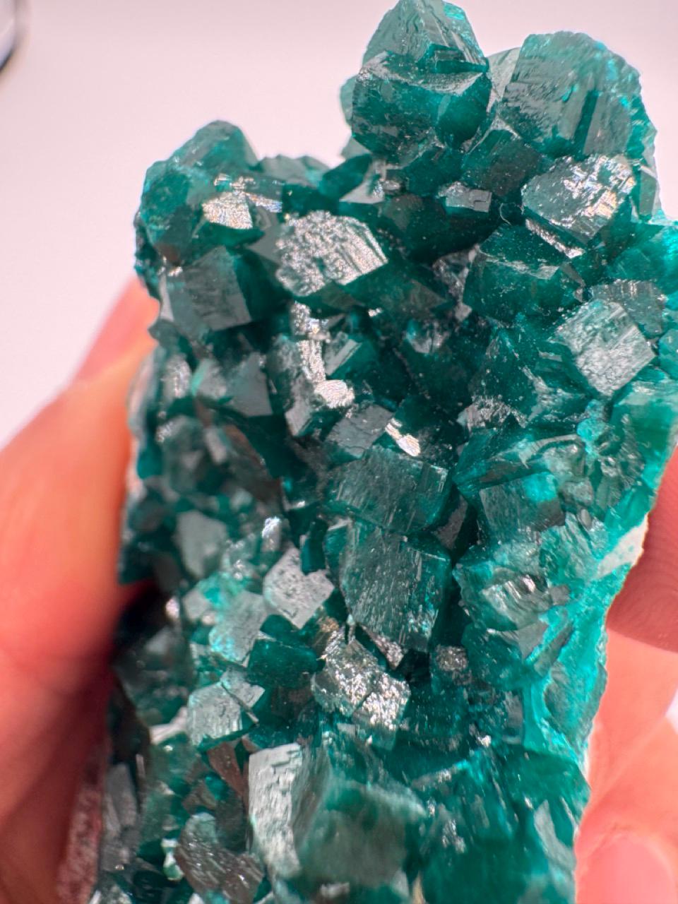 Natural Dioptase on Quartz – Jobtaz from Congo – Vivid Green Crystal Cluster – Collector Mineral Specimen