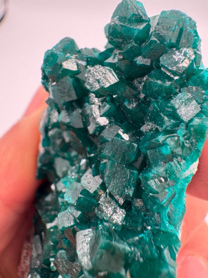 Natural Dioptase on Quartz – Jobtaz from Congo – Vivid Green Crystal Cluster – Collector Mineral Specimen