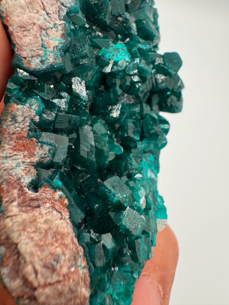 Natural Dioptase on Quartz – Jobtaz from Congo – Vivid Green Crystal Cluster – Collector Mineral Specimen