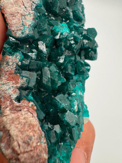 Natural Dioptase on Quartz – Jobtaz from Congo – Vivid Green Crystal Cluster – Collector Mineral Specimen