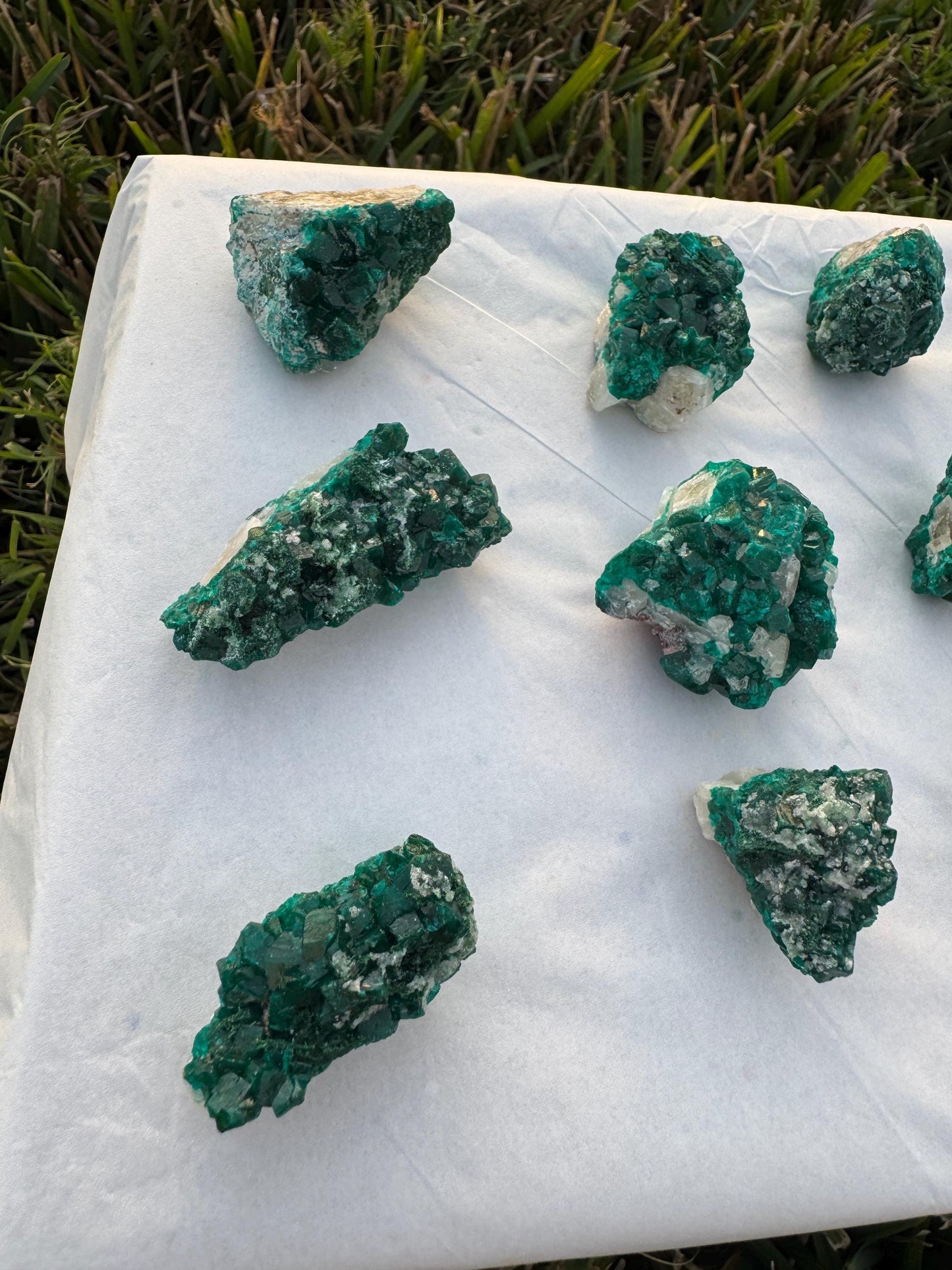 Dioptase on Quartz Lot | Congo Green Crystals | Small Specimens 1–2 Inch | Collector Quality