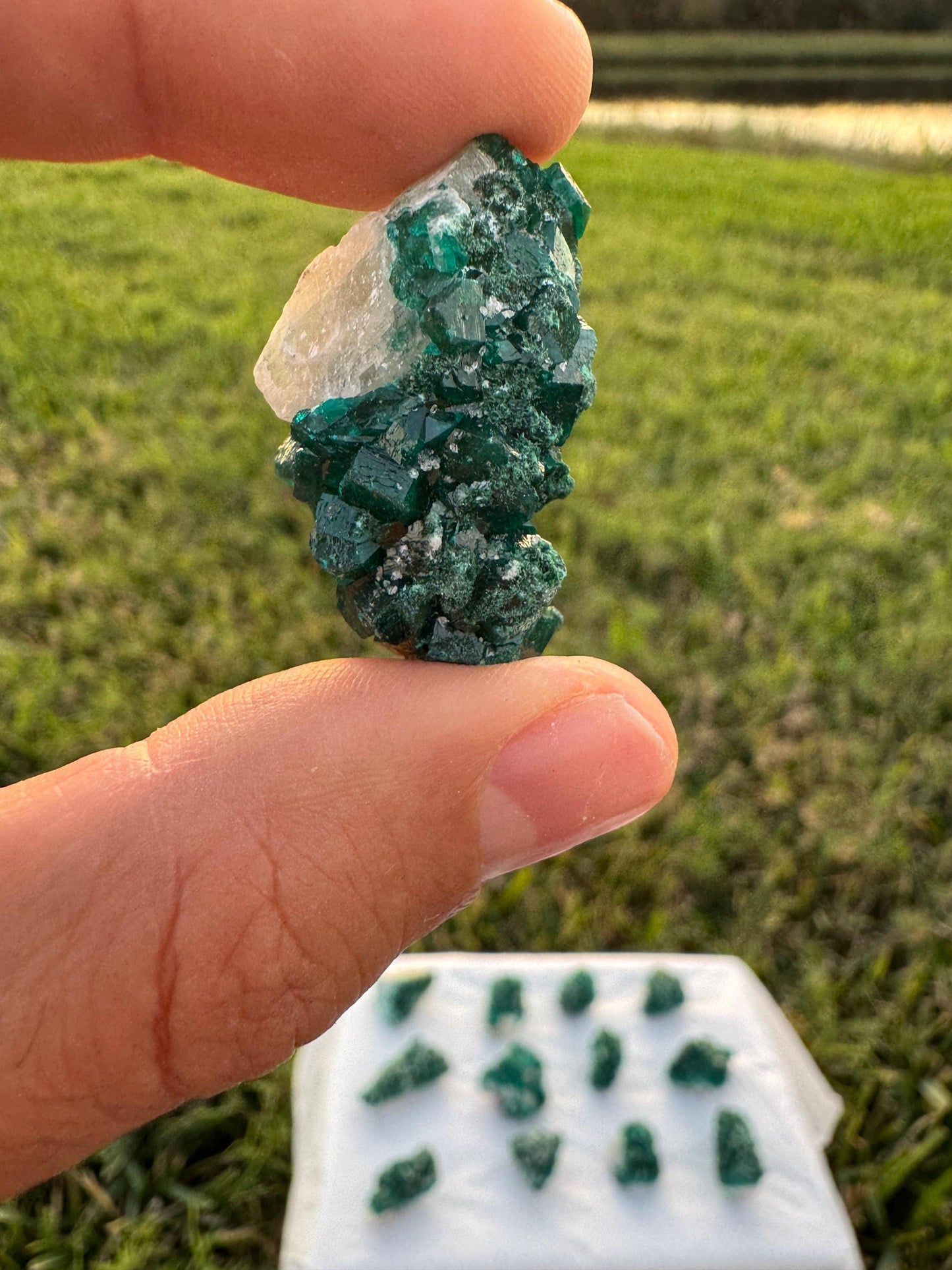 Dioptase on Quartz Lot | Congo Green Crystals | Small Specimens 1–2 Inch | Collector Quality