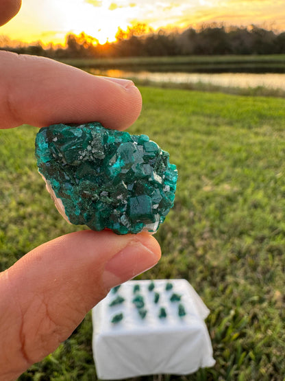 Dioptase on Quartz Lot | Congo Green Crystals | Small Specimens 1–2 Inch | Collector Quality