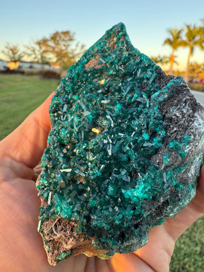Dioptase Crystal Cluster from Congo – Deep Green Elongated Crystals