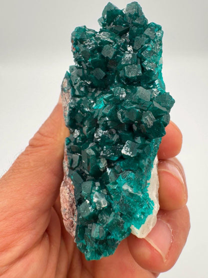 Natural Dioptase on Quartz – Jobtaz from Congo – Vivid Green Crystal Cluster – Collector Mineral Specimen