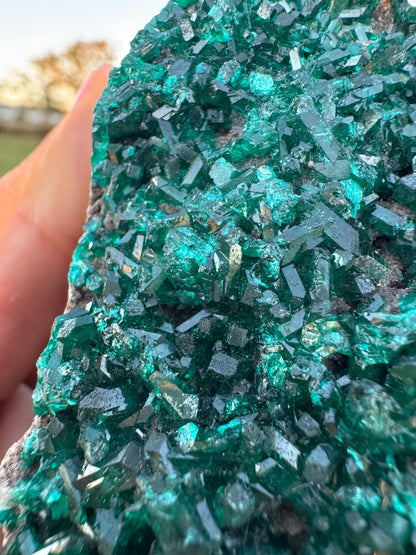 Dioptase Crystal Cluster from Congo – Deep Green Elongated Crystals