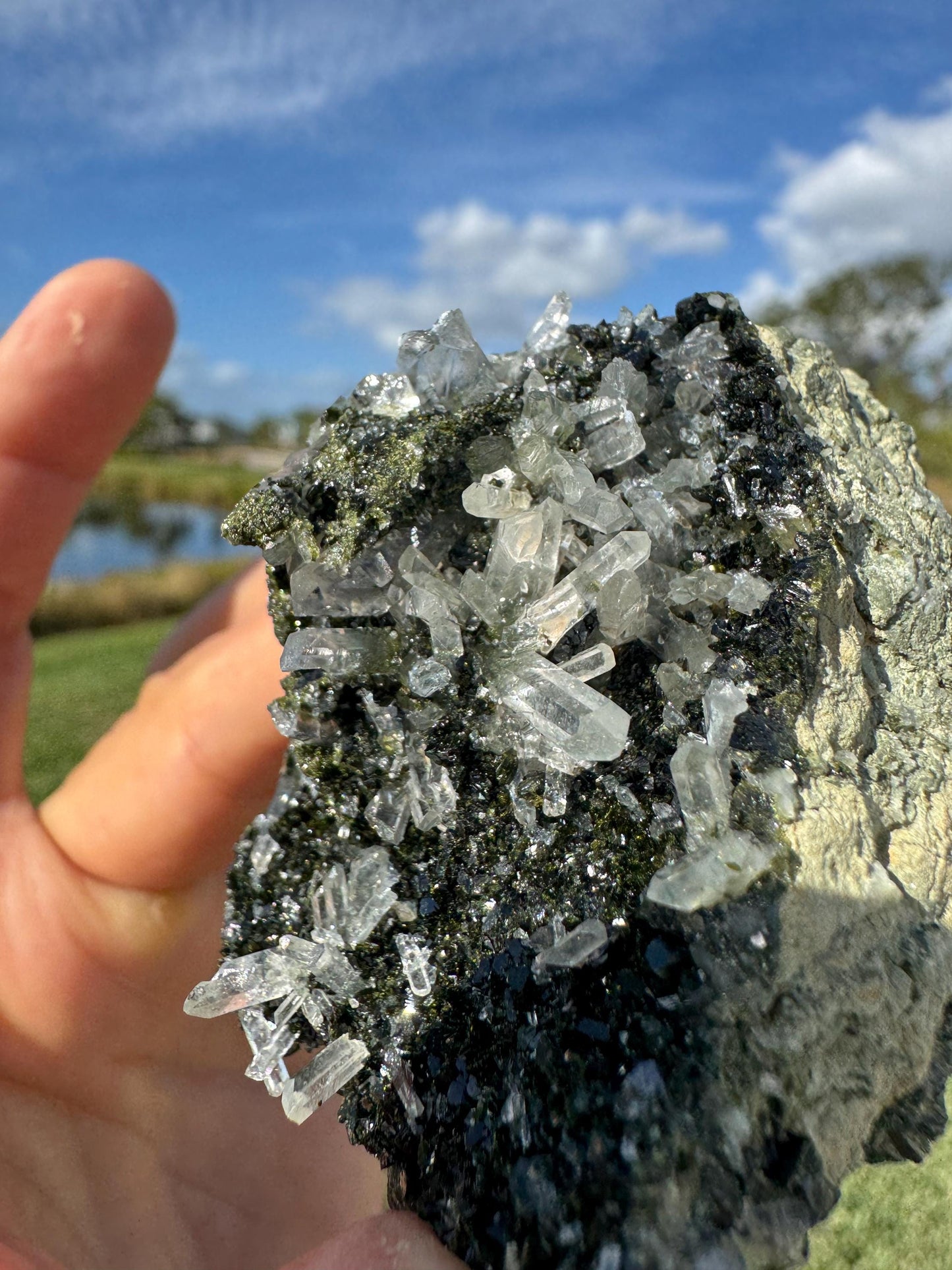 Double-Sided Epidote with Quartz – Rare Natural Crystal Specimen – Collector Mineral