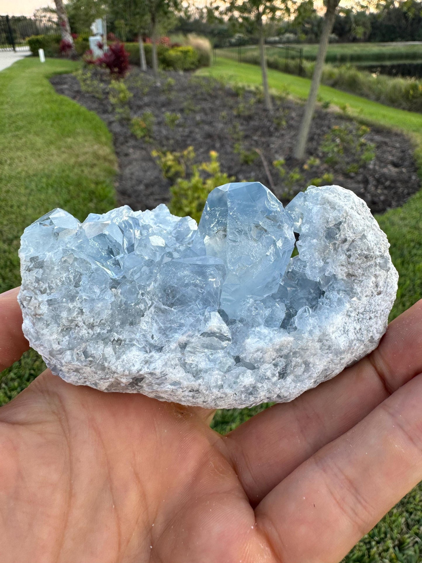Celestine Crystal Cluster from Madagascar – Rare Blue Celestite