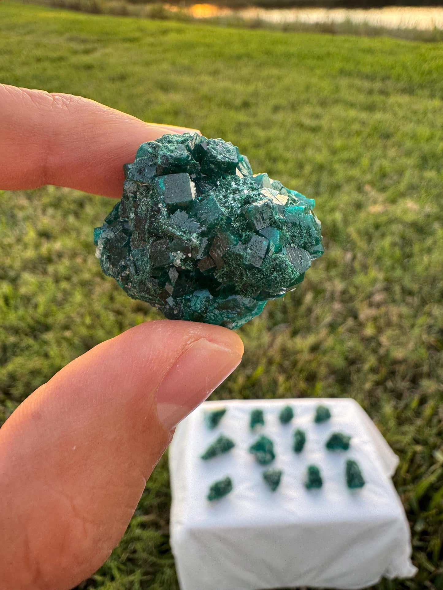 Dioptase on Quartz Lot | Congo Green Crystals | Small Specimens 1–2 Inch | Collector Quality