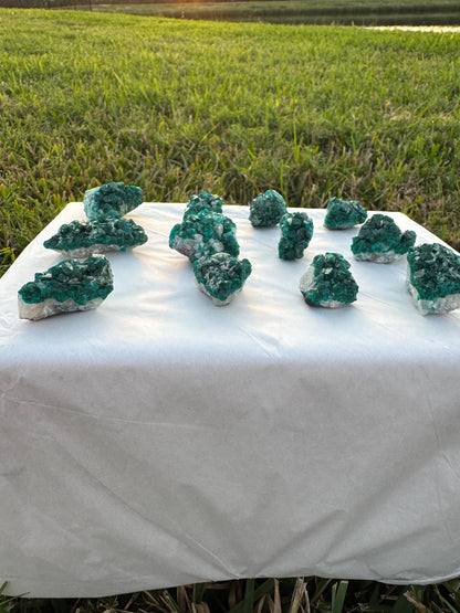 Dioptase on Quartz Lot | Congo Green Crystals | Small Specimens 1–2 Inch | Collector Quality