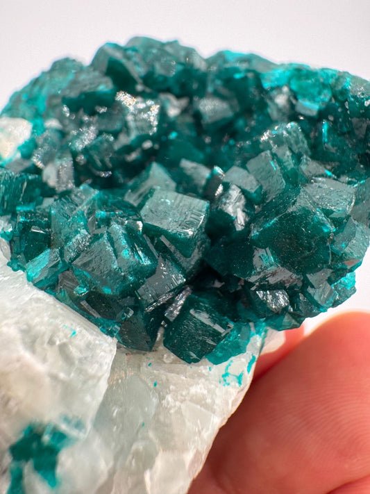 Natural Dioptase on Quartz and Copper Matrix – from Congo – Deep Green Collector Mineral Specimen